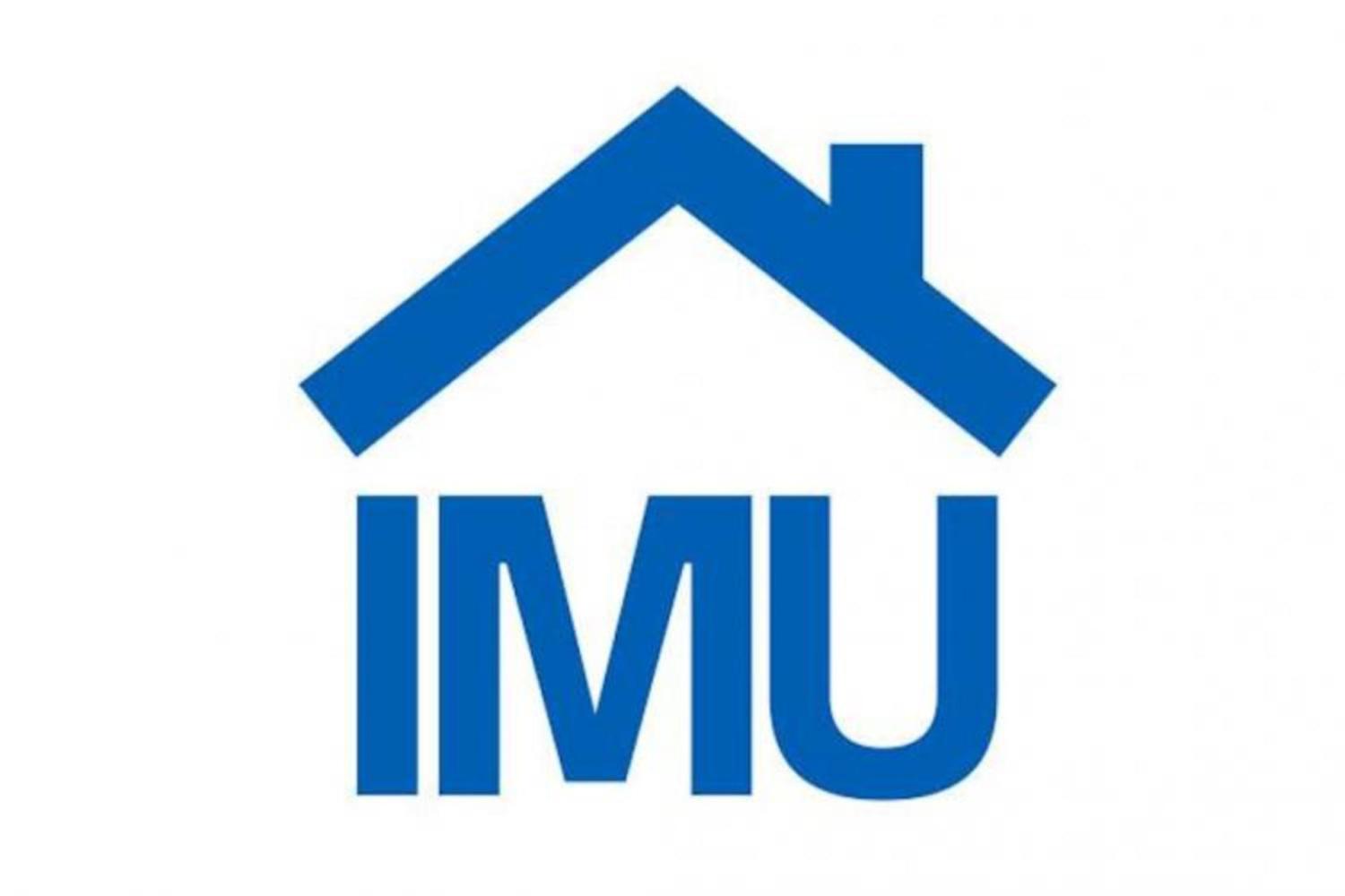 IMU